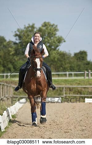 "Woman riding a galloping Hanoverian horse, Germany, Europe" View Large Photo Image Stock Image - "Woman riding a galloping Hanoverian horse, Germany, Europe". Fotosearch