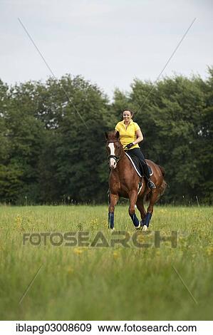 Stock Photo - "Woman riding a galloping Hanoverian horse in a meadow, Germany, Europe". Fotosearch