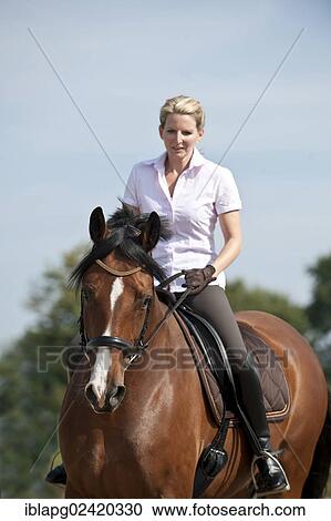 Woman riding a Hanoverian horse View Large Photo Image Stock Image - Woman riding a Hanoverian horse. Fotosearch