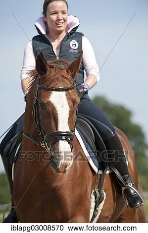 "Woman riding a Hanoverian horse, Germany, Europe" View Large Photo Image Stock Image - "Woman riding a Hanoverian horse, Germany, Europe". Fotosearch