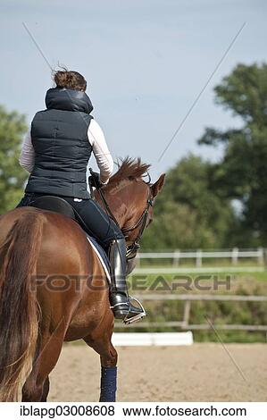 Stock Photo - "Woman riding a horse, English riding, Germany, Europe". Fotosearch