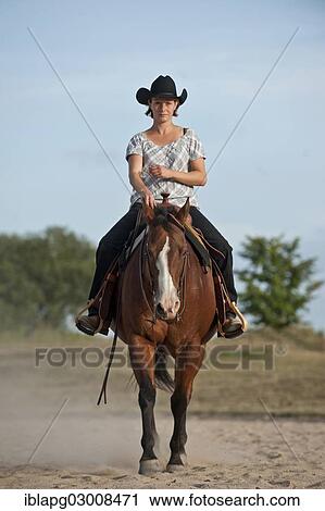 "Woman riding a trotting Quarter Horse, Germany, Europe" View Large Photo Image Stock Image - "Woman riding a trotting Quarter Horse, Germany, Europe". Fotosearch
