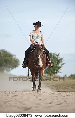 Stock Image - "Woman riding a trotting Quarter Horse, Germany, Europe". Fotosearch