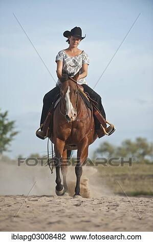 "Woman riding a trotting Quarter Horse, Germany, Europe" View Large Photo Image Stock Image - "Woman riding a trotting Quarter Horse, Germany, Europe". Fotosearch