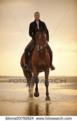 "Woman riding on a Hanoverian gelding, wearing an English bridle, at a gallop, in the evening light, on the beach of Borkum, Lower Saxony, Germany, Europe" View Large Photo Image Picture - "Woman riding on a Hanoverian gelding, wearing an English bridle, at a gallop, in the evening light, on the beach of Borkum, Lower Saxony, Germany, Europe". Fotosearch
