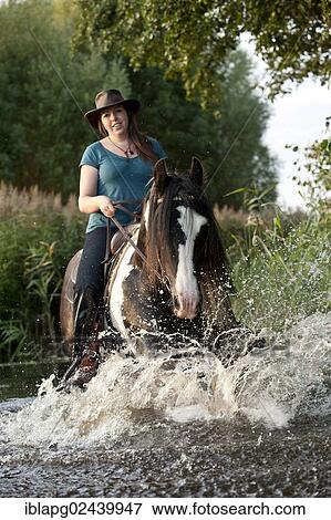 Woman riding on Irish Tinker through water View Large Photo Image Stock Photo - Woman riding on Irish Tinker through water. Fotosearch