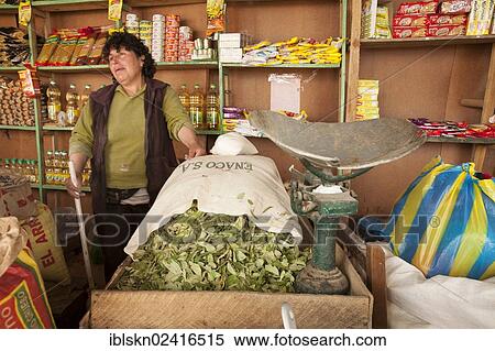 Woman selling coca leaves at the market in Celendin, Cajamarca, Peru, South America View Large Photo Image Stock Photography - Woman selling coca leaves at the market in Celendin, Cajamarca, Peru, South America. Fotosearch