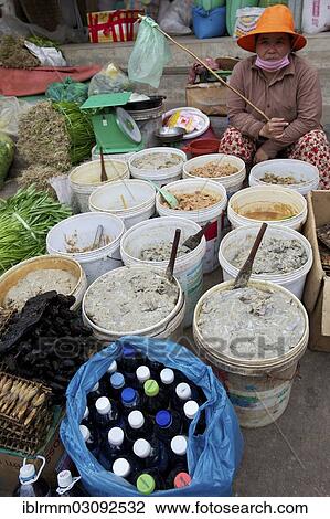 "Woman selling fermented fish paste at a market, Siem Reap, Siem Reap, Siem Reap Province, Cambodia, Asia" View Large Photo Image Stock Image - "Woman selling fermented fish paste at a market, Siem Reap, Siem Reap, Siem Reap Province, Cambodia, Asia". Fotosearch
