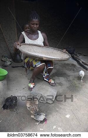 "Woman separating grain from the chaff outside a hut, Tiwai Island, Southern Province, Sierra Leone, Africa" View Large Photo Image Picture - "Woman separating grain from the chaff outside a hut, Tiwai Island, Southern Province, Sierra Leone, Africa". Fotosearch