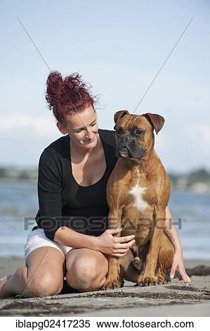 Woman sitting with a Boxer at the beach, Baltic Sea, Mecklenburg-Western Pomerania, Germany, Europe View Large Photo Image Stock Photography - Woman sitting with a Boxer at the beach, Baltic Sea, Mecklenburg-Western Pomerania, Germany, Europe. Fotosearch