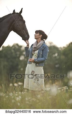 Woman standing beside a Hanoverian horse in a meadow View Large Photo Image Stock Photograph - Woman standing beside a Hanoverian horse in a meadow. Fotosearch