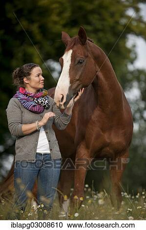 "Woman standing next to a Hanoverian horse in a meadow, Germany, Europe" View Large Photo Image Stock Image - "Woman standing next to a Hanoverian horse in a meadow, Germany, Europe". Fotosearch