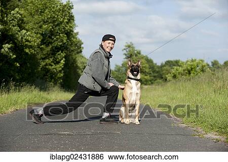 Woman stretching while jogging with a Malinois or Belgian Shepherd Dog View Large Photo Image Stock Photograph - Woman stretching while jogging with a Malinois or Belgian Shepherd Dog. Fotosearch