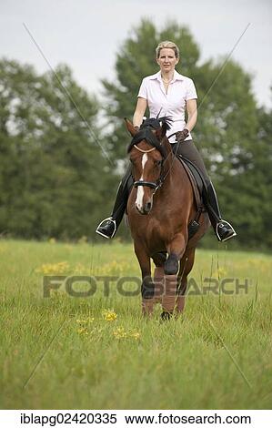 Stock Photography - Woman trotting across a meadow on a Hanoverian horse. Fotosearch