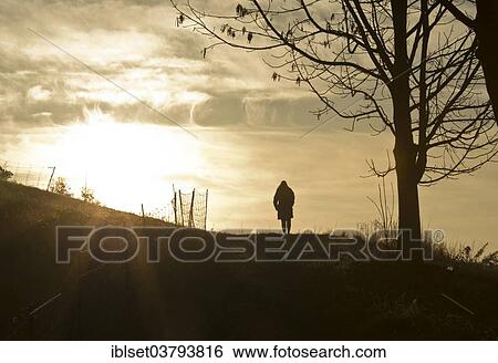 "Woman walking against the sun, at sunrise, at Gamlitz, Southern Styria, Styria, Austria, Europe" View Large Photo Image Stock Photograph - "Woman walking against the sun, at sunrise, at Gamlitz, Southern Styria, Styria, Austria, Europe". Fotosearch