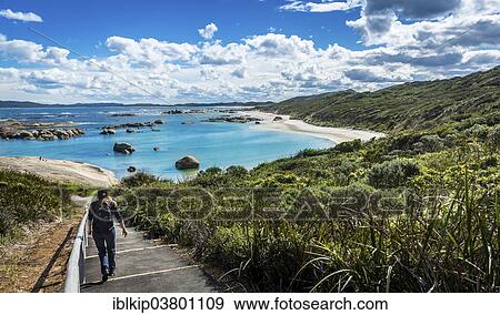 "Woman walking down to Greens Pool in William Bay National Park, Western Australia, Australia, Oceania" View Large Photo Image Stock Photo - "Woman walking down to Greens Pool in William Bay National Park, Western Australia, Australia, Oceania". Fotosearch