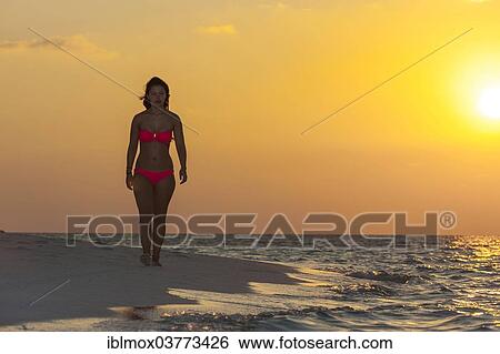 "Woman walking on the beach at sunset, Indian Ocean, Maldives, Asia" View Large Photo Image Stock Photograph - "Woman walking on the beach at sunset, Indian Ocean, Maldives, Asia". Fotosearch