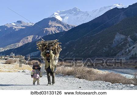 "Woman walking with a small child, carrying firewood. Annapurna 2 and 4 in the back, Manang, Annapurna Region, Nepal, Asia" View Large Photo Image Stock Photograph - "Woman walking with a small child, carrying firewood. Annapurna 2 and 4 in the back, Manang, Annapurna Region, Nepal, Asia". Fotosearch