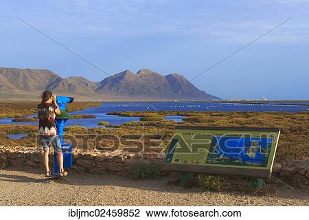 "Woman watching birds through telescope, Almadraba de Monteleva, saltworks, Cabo de Gata-Nijar Natural Park, biosphere reserve, Almeria province, Andalusia, Spain, Europe" View Large Photo Image Stock Image - "Woman watching birds through telescope, Almadraba de Monteleva, saltworks, Cabo de Gata-Nijar Natural Park, biosphere reserve, Almeria province, Andalusia, Spain, Europe". Fotosearch