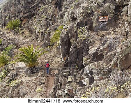 "Woman wearing a backpack while hiking along a hiking trail, taxi sign with a telephone number on the rock wall, Barranco de Argaga, La Gomera, Canary Islands, Spain, Europe" View Large Photo Image Stock Photo - "Woman wearing a backpack while hiking along a hiking trail, taxi sign with a telephone number on the rock wall, Barranco de Argaga, La Gomera, Canary Islands, Spain, Europe". Fotosearch
