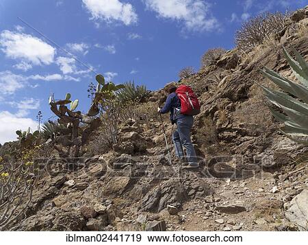 "Woman wearing a backpack while hiking along a mountain path over Valle Gran Rey, La Gomera, Canary Islands, Spain, Europe" View Large Photo Image Stock Photo - "Woman wearing a backpack while hiking along a mountain path over Valle Gran Rey, La Gomera, Canary Islands, Spain, Europe". Fotosearch
