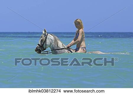 "Woman wearing a bikini riding a Barb horse in the sea, riding vacation, Djerba, Tunisia, Africa" View Large Photo Image Picture - "Woman wearing a bikini riding a Barb horse in the sea, riding vacation, Djerba, Tunisia, Africa". Fotosearch