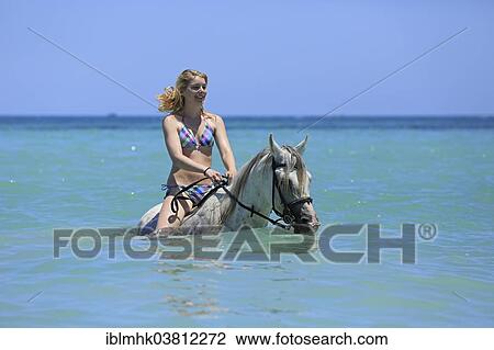 "Woman wearing a bikini riding a Barb horse in the sea, riding vacation, Djerba, Tunisia, Africa" View Large Photo Image Stock Image - "Woman wearing a bikini riding a Barb horse in the sea, riding vacation, Djerba, Tunisia, Africa". Fotosearch