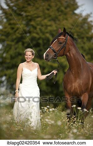 Woman wearing a wedding dress with a Hanoverian horse in a meadow View Large Photo Image Picture - Woman wearing a wedding dress with a Hanoverian horse in a meadow. Fotosearch