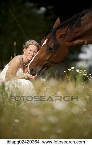 Woman wearing a wedding dress with a Hanoverian horse in a meadow View Large Photo Image Picture - Woman wearing a wedding dress with a Hanoverian horse in a meadow. Fotosearch