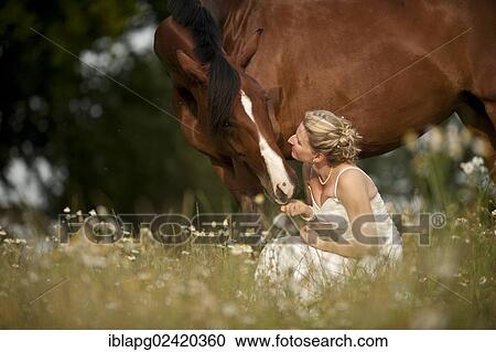 Woman wearing a wedding dress with a Hanoverian horse in a meadow View Large Photo Image Stock Image - Woman wearing a wedding dress with a Hanoverian horse in a meadow. Fotosearch