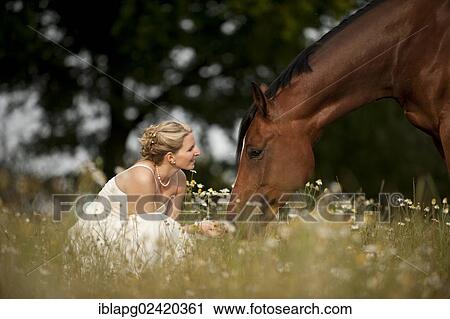 Woman wearing a wedding dress with a Hanoverian horse in a meadow View Large Photo Image Stock Image - Woman wearing a wedding dress with a Hanoverian horse in a meadow. Fotosearch