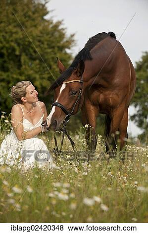 Woman wearing a wedding dress with a Hanoverian horse View Large Photo Image Stock Photo - Woman wearing a wedding dress with a Hanoverian horse. Fotosearch
