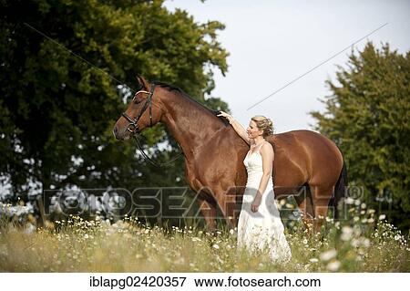 Woman wearing a wedding dress with a Hanoverian horse in a meadow View Large Photo Image Stock Photo - Woman wearing a wedding dress with a Hanoverian horse in a meadow. Fotosearch