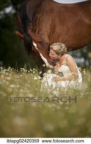 Woman wearing a wedding dress with a Hanoverian horse in a meadow View Large Photo Image Stock Photo - Woman wearing a wedding dress with a Hanoverian horse in a meadow. Fotosearch