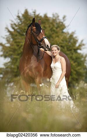 Woman wearing a wedding dress with a Hanoverian horse in a meadow View Large Photo Image Stock Photograph - Woman wearing a wedding dress with a Hanoverian horse in a meadow. Fotosearch