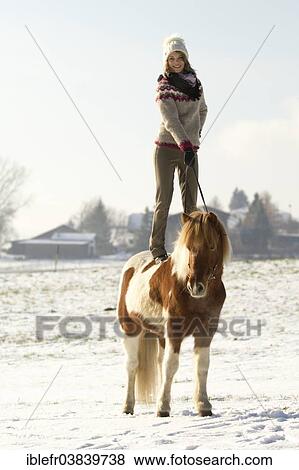"Woman wearing an Icelandic jumper standing on her painted Icelandic Horse, Austria, Europe" View Large Photo Image Stock Photo - "Woman wearing an Icelandic jumper standing on her painted Icelandic Horse, Austria, Europe". Fotosearch