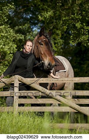 Woman with a Belgian Draft Horse at a fence View Large Photo Image Stock Photo - Woman with a Belgian Draft Horse at a fence. Fotosearch