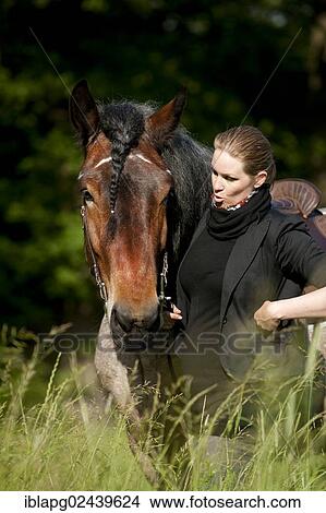 Woman with a Belgian Draft Horse in a meadow View Large Photo Image Picture - Woman with a Belgian Draft Horse in a meadow. Fotosearch