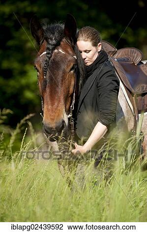 Woman with a Belgian Draft Horse in a meadow View Large Photo Image Stock Image - Woman with a Belgian Draft Horse in a meadow. Fotosearch
