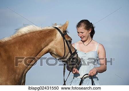 "Woman with a Haflinger horse, St. Peter-Ording, Schleswig-Holstein, Germany, Europe" View Large Photo Image Stock Image - "Woman with a Haflinger horse, St. Peter-Ording, Schleswig-Holstein, Germany, Europe". Fotosearch