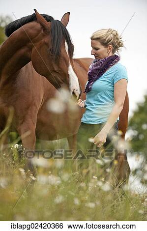 Woman with a Hanoverian horse View Large Photo Image Stock Photograph - Woman with a Hanoverian horse. Fotosearch