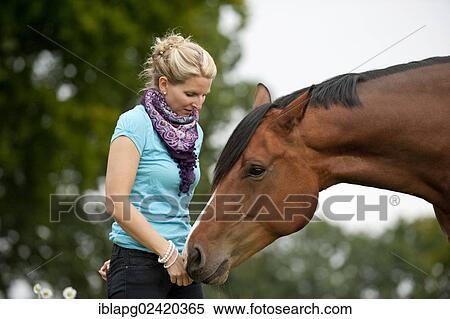 Woman with a Hanoverian horse View Large Photo Image Stock Photography - Woman with a Hanoverian horse. Fotosearch