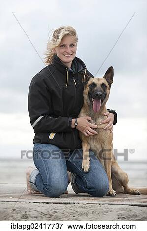 Woman with a Hollandse Herdershond, Dutch Shepherd, sitting on a beach, Sankt Peter-Ording, Schleswig-Holstein, Germany, Europe View Large Photo Image Stock Photo - Woman with a Hollandse Herdershond, Dutch Shepherd, sitting on a beach, Sankt Peter-Ording, Schleswig-Holstein, Germany, Europe. Fotosearch