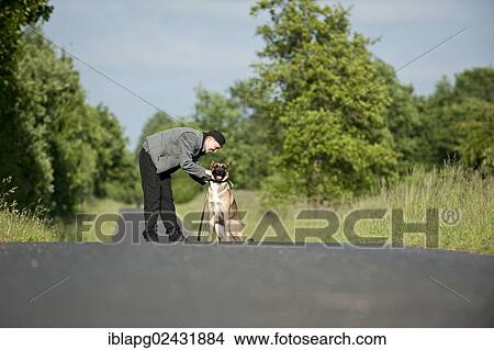 Woman with a Malinois or Belgian Shepherd Dog View Large Photo Image Picture - Woman with a Malinois or Belgian Shepherd Dog. Fotosearch