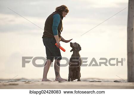Stock Image - "Woman with a Weimaraner on the beach, St. Peter-Ording, Schleswig-Holstein, Germany, Europe". Fotosearch
