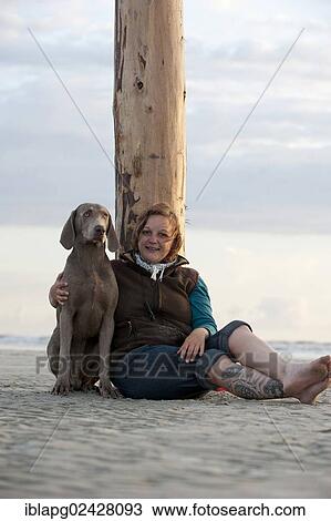 "Woman with a Weimaraner on the beach, St. Peter-Ording, Schleswig-Holstein, Germany, Europe" View Large Photo Image Stock Image - "Woman with a Weimaraner on the beach, St. Peter-Ording, Schleswig-Holstein, Germany, Europe". Fotosearch