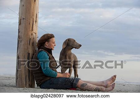 "Woman with a Weimaraner on the beach, St. Peter-Ording, Schleswig-Holstein, Germany, Europe" View Large Photo Image Stock Photo - "Woman with a Weimaraner on the beach, St. Peter-Ording, Schleswig-Holstein, Germany, Europe". Fotosearch