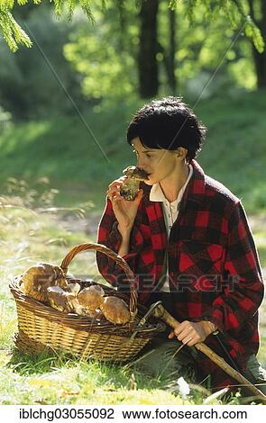 "Woman with basket full of freshly picked mushrooms, Penny buns, Porcino or Cep (Boletus edulis), Parc Naturel Regional Livradois Forez, Natural regional park of Livradois F, Puy de Dome, Auvergne, France, Europe" View Large Photo Image Stock Image - "Woman with basket full of freshly picked mushrooms, Penny buns, Porcino or Cep (Boletus edulis), Parc Naturel Regional Livradois Forez, Natural regional park of Livradois F, Puy de Dome, Auvergne, France, Europe". Fotosearch