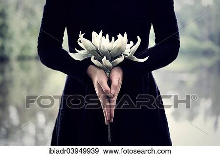 Woman with flower in hands View Large Photo Image Stock Photo - Woman with flower in hands. Fotosearch
