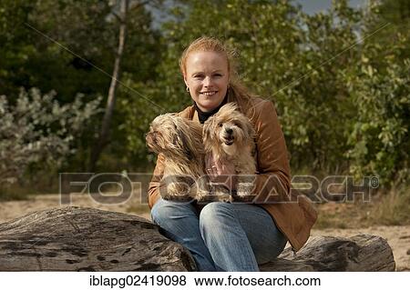 Woman with two Bolonka Zwetnas or Coloured Lapdogs View Large Photo Image Stock Photo - Woman with two Bolonka Zwetnas or Coloured Lapdogs. Fotosearch